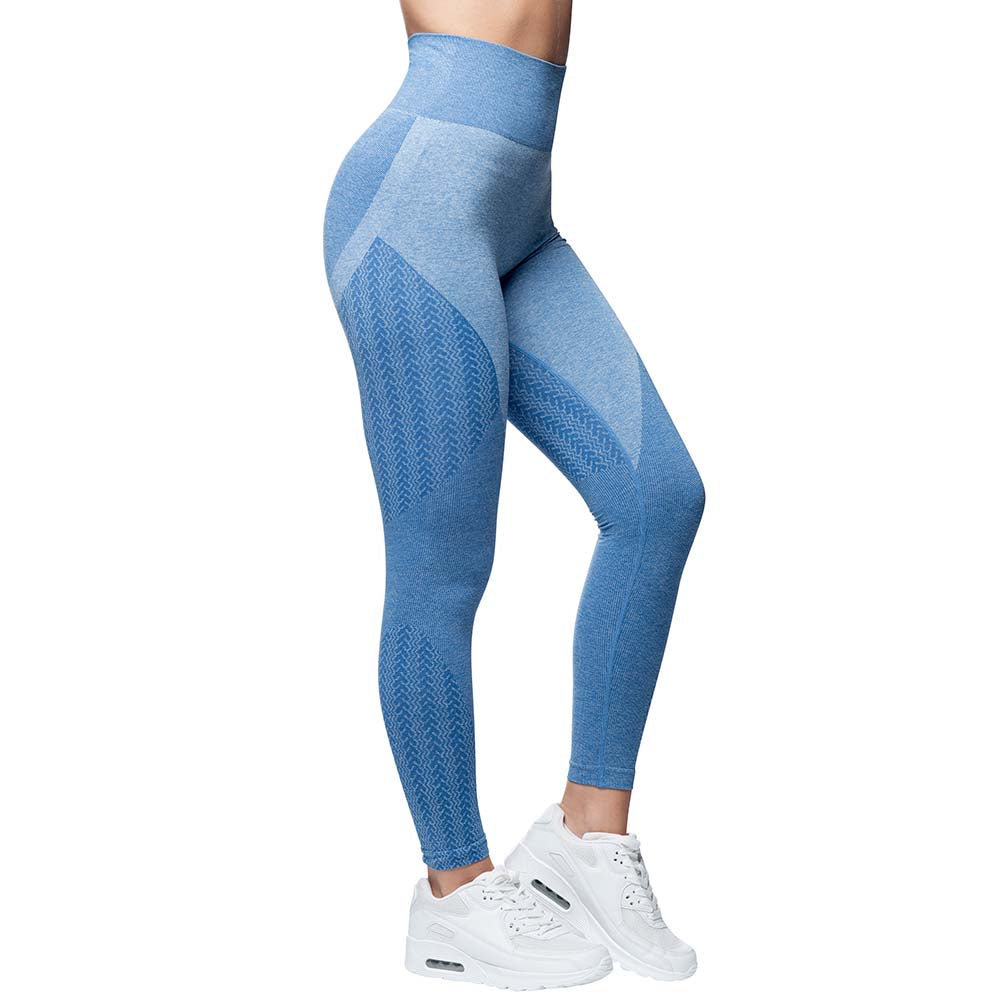 ANARCHY APPAREL WABISABI SEAMLESS BLUE | VAAMSPORT
