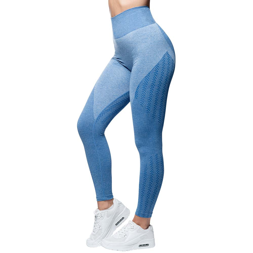 ANARCHY APPAREL WABISABI SEAMLESS BLUE | VAAMSPORT